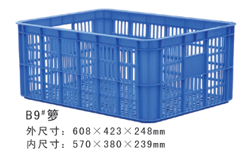 B9#午夜男女视频周转箩